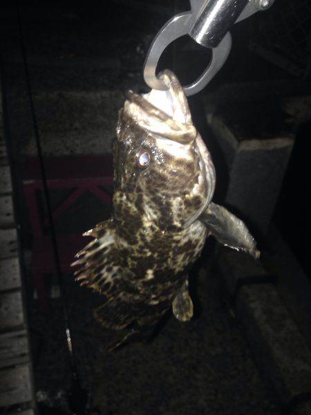 くぅー、タケノコ