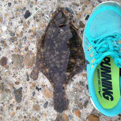 遅咲きの花見鰈きたーー(*^◯^*)