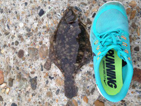 遅咲きの花見鰈きたーー(*^◯^*)