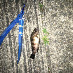 北風が冷たいよ