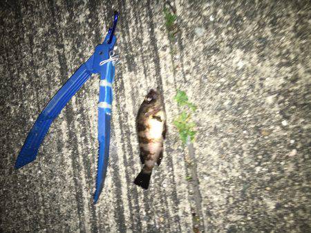 北風が冷たいよ