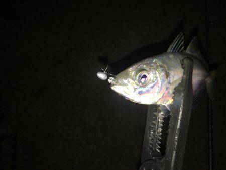 テクニカルアジング