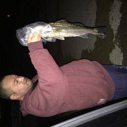 少し早いですが