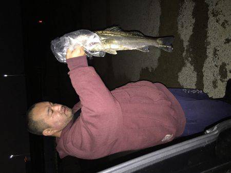 少し早いですが