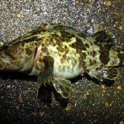 浅くても安心。