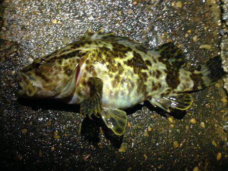 浅くても安心。