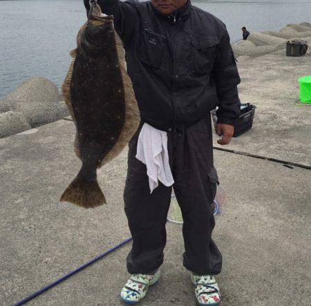 実験釣行でヒラメ80センチ&アオリ…