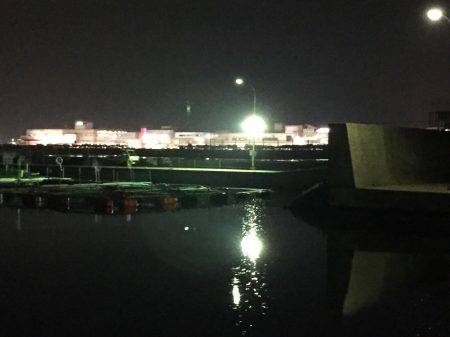 ニューロッドを試しに…