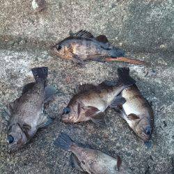 最終的にやっぱり伊根