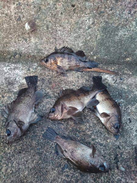 最終的にやっぱり伊根