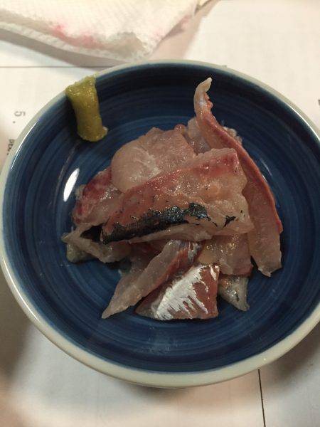 アジング釣行記