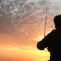 腕が無さすぎでした