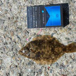 ゴールデンウィーク釣り日和