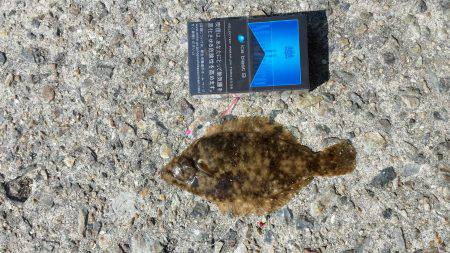 ゴールデンウィーク釣り日和