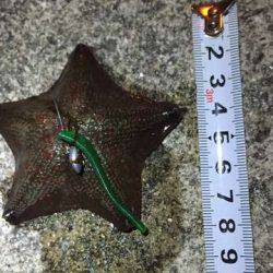 久々に下の娘とライトゲーム