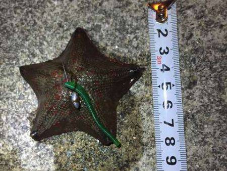 久々に下の娘とライトゲーム