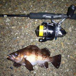 夜釣りに誘われて