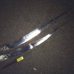 春タチ・ゲット!