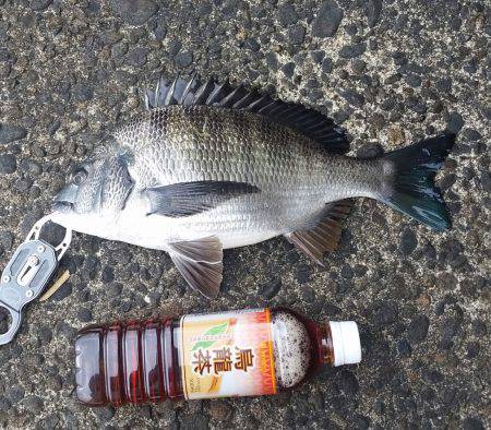 また前打ちに！