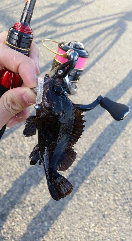 デイメバリングも、、、