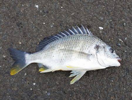 荒れ後に期待で！