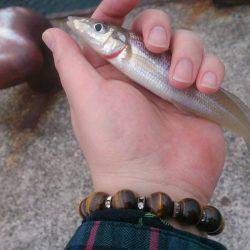 ポーアイ北公園でキス