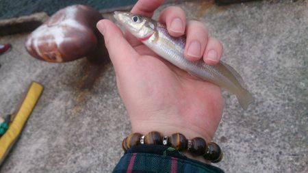 ポーアイ北公園でキス