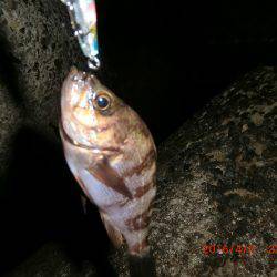 プラグ系縛り！