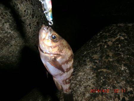 プラグ系縛り！