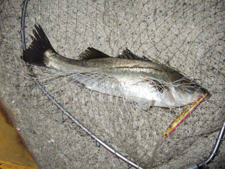 サイズダウン・・・