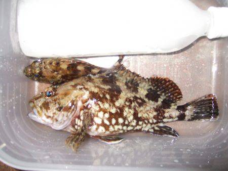 ２時間で風終了。