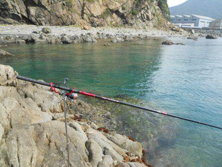 神谷の磯でヤエンでアオリイカ狙い