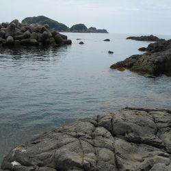 磯でヤエンのアオリイカ