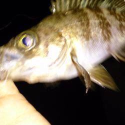 懲りもせず(笑)