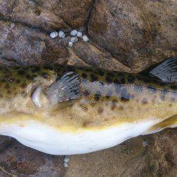 まさにここはFGP(ﾌｸﾞﾊﾟﾗﾀﾞｲｽ)