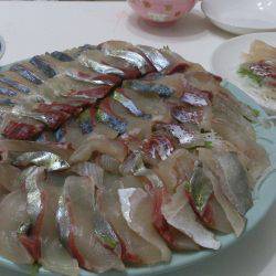 カタタ海上釣り堀でカンパチヒラマサゲット出きるか？