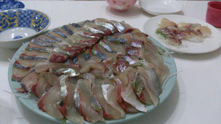 カタタ海上釣り堀でカンパチヒラマサゲット出きるか？