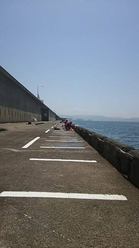 むっちゃ❗いい天気！