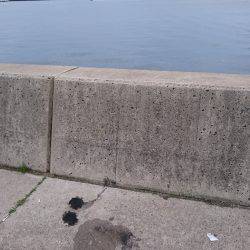 サクッとエギング