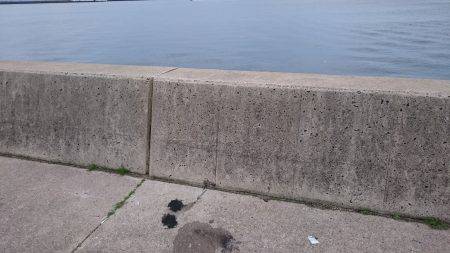 サクッとエギング