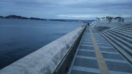 イワシ大漁、青物不在