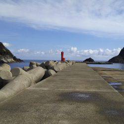 青物狙いで　うれしい外道