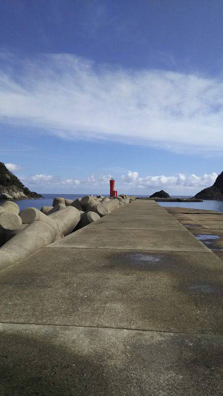 青物狙いで　うれしい外道