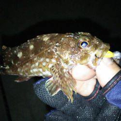 短時間メバリング