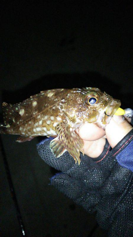 短時間メバリング