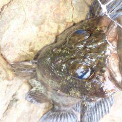 鱗付けの練習！？(笑)