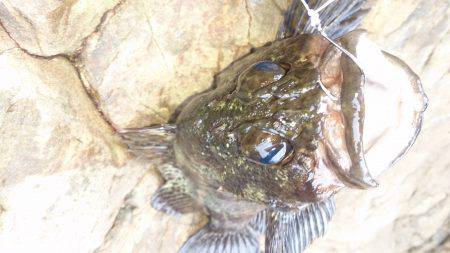 鱗付けの練習！？(笑)