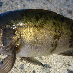 暗くなってから