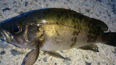 暗くなってから