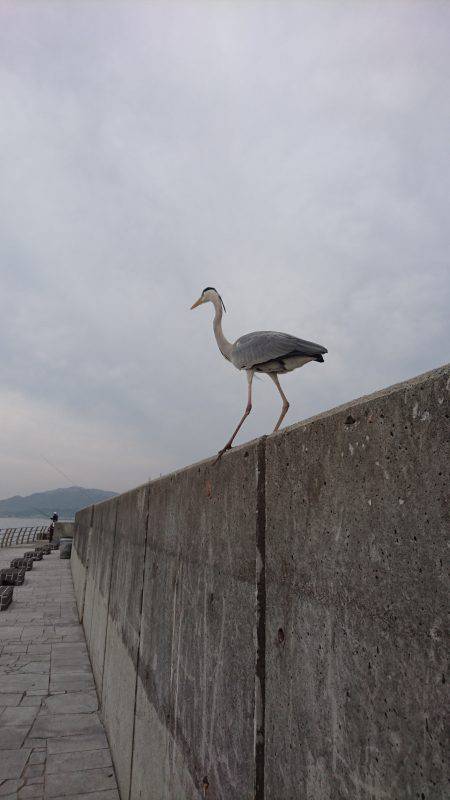 ギリギリセーフ